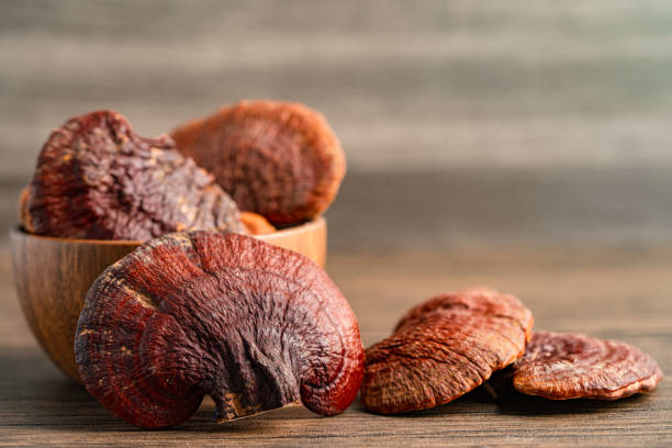 Reishi Mushroom (Ganoderma lucidum) - A powerful medicinal mushroom.