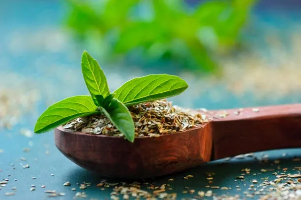 Tulsi (Holy Basil) – An adaptogenic herb for stress relief and immune support.