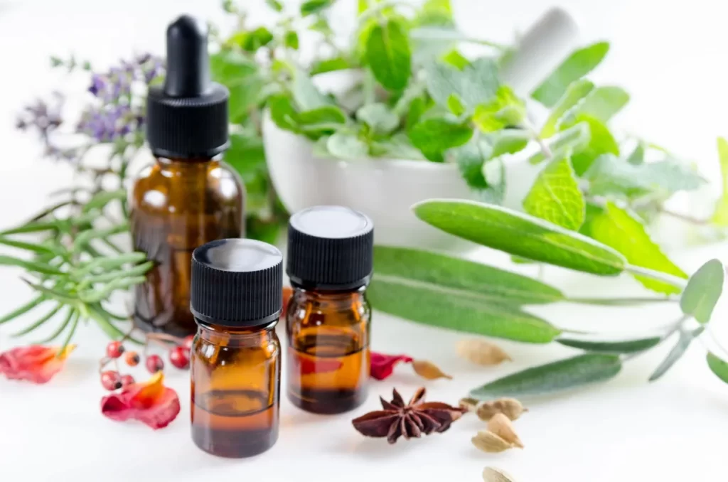 herbal remedies setup with various herbs 